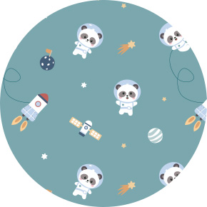 Pandas in space